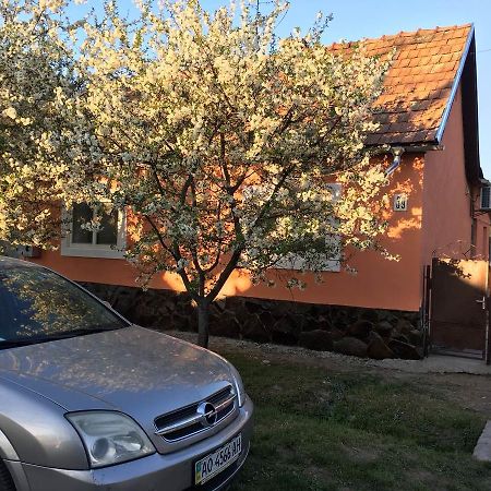Sadyba U Mykhaila Koson Bagian luar foto