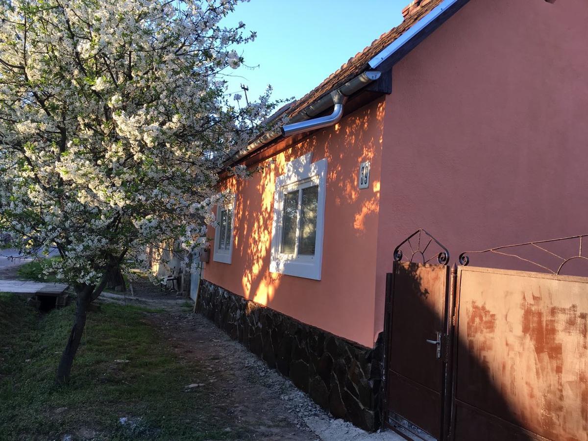 Sadyba U Mykhaila Koson Bagian luar foto