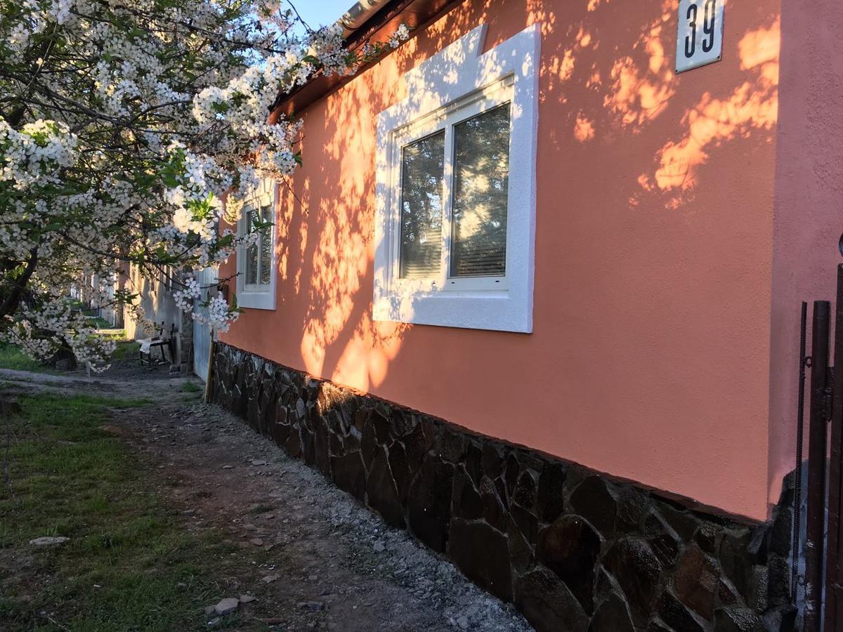 Sadyba U Mykhaila Koson Bagian luar foto